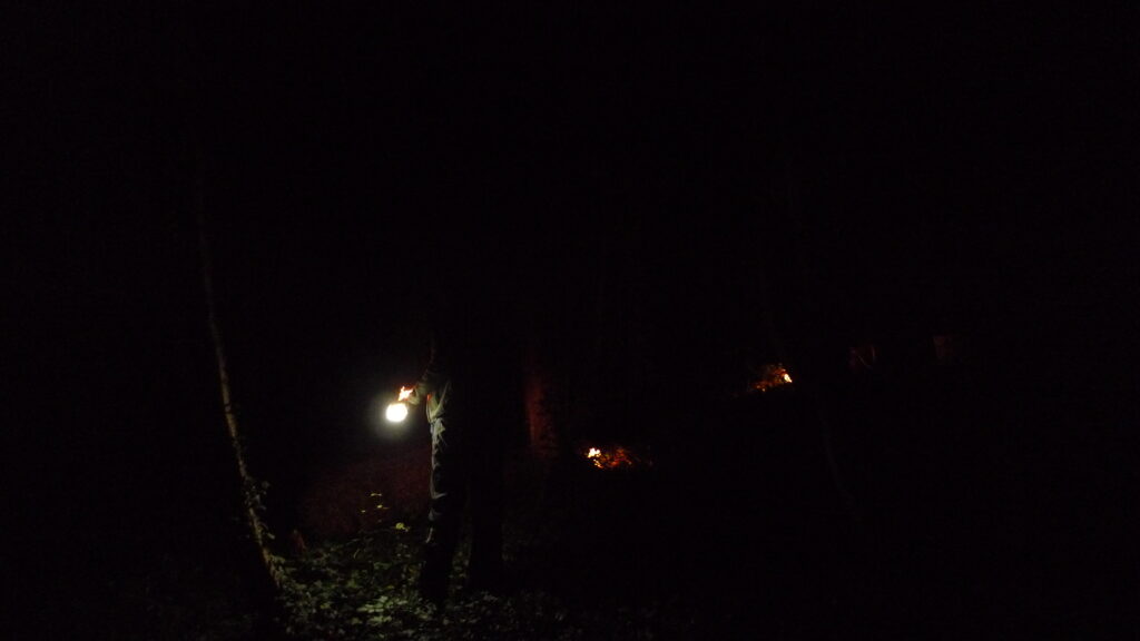 Dunkle Nacht, fast das gesamte Bild schwarz, an 3 Stellen sieht man kleine Lichtquellen, die ihren Schein auf Blätter werfen, einen Wald und eine Person.