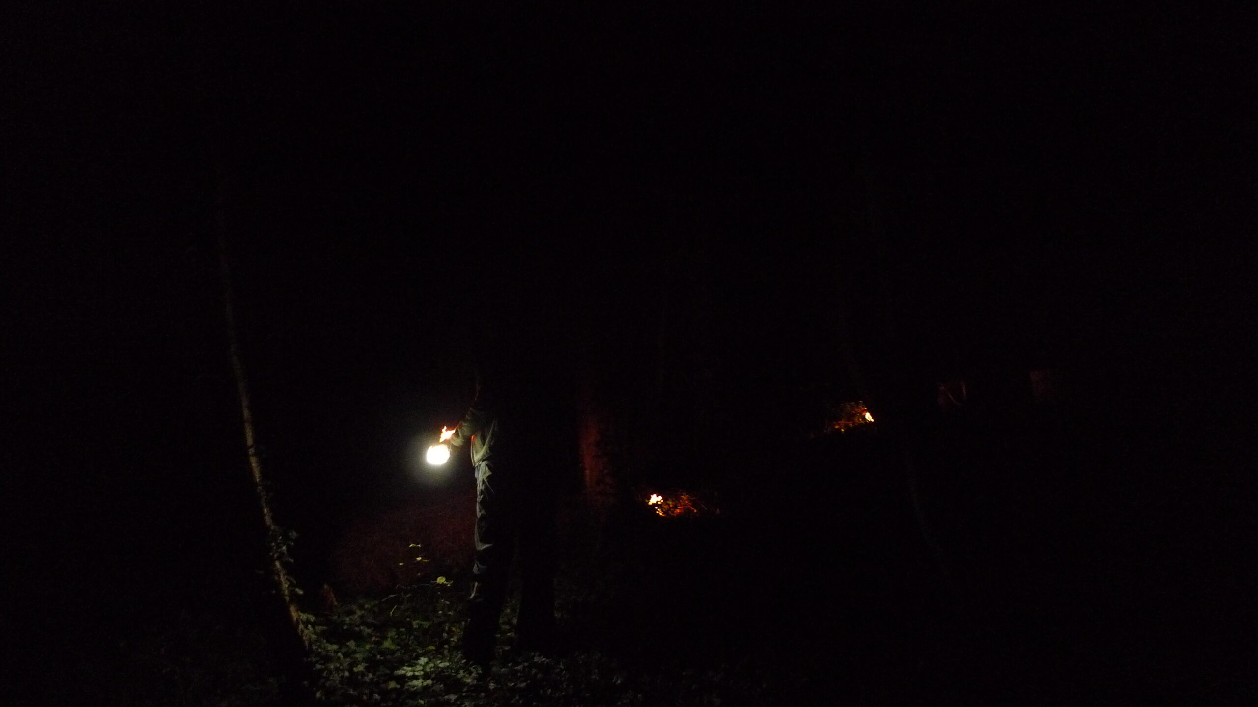 Dunkle Nacht, fast das gesamte Bild schwarz, an 3 Stellen sieht man kleine Lichtquellen, die ihren Schein auf Blätter werfen, einen Wald und eine Person.